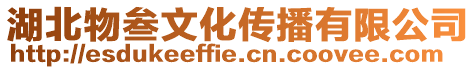 湖北物叁文化傳播有限公司