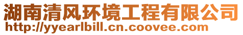 湖南清風(fēng)環(huán)境工程有限公司