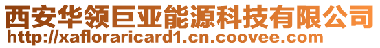 西安華領(lǐng)巨亞能源科技有限公司