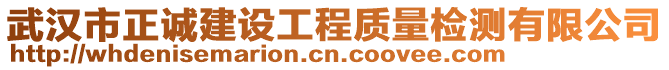 武漢市正誠(chéng)建設(shè)工程質(zhì)量檢測(cè)有限公司