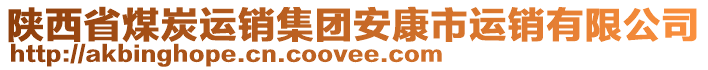 陜西省煤炭運銷集團安康市運銷有限公司