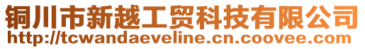 銅川市新越工貿(mào)科技有限公司