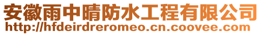 安徽雨中晴防水工程有限公司