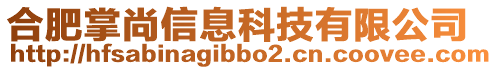 合肥掌尚信息科技有限公司