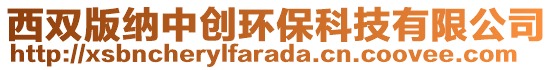 西雙版納中創(chuàng)環(huán)保科技有限公司