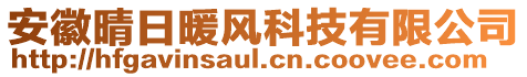 安徽晴日暖風(fēng)科技有限公司