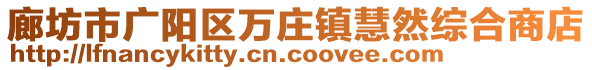 廊坊市廣陽區(qū)萬莊鎮(zhèn)慧然綜合商店