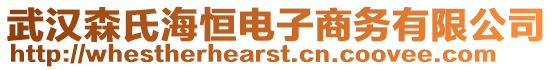 武漢森氏海恒電子商務(wù)有限公司