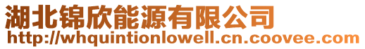 湖北錦欣能源有限公司