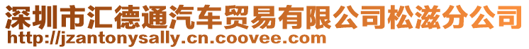 深圳市汇德通汽车贸易有限公司松滋分公司