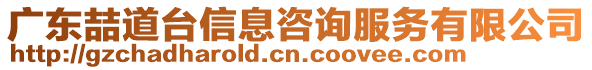 廣東喆道臺信息咨詢服務有限公司