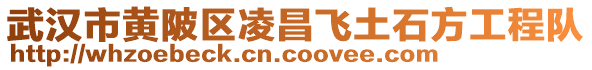 武漢市黃陂區(qū)凌昌飛土石方工程隊(duì)