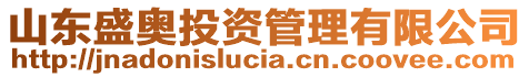 山东盛奥投资管理有限公司