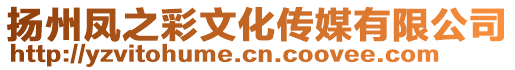 揚(yáng)州鳳之彩文化傳媒有限公司