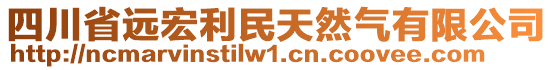 四川省遠宏利民天然氣有限公司