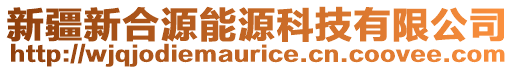 新疆新合源能源科技有限公司