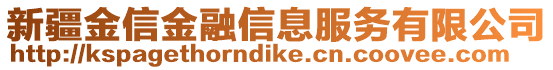 新疆金信金融信息服務(wù)有限公司