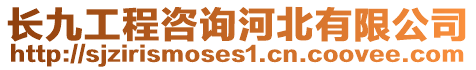 長九工程咨詢河北有限公司