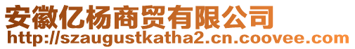 安徽億楊商貿(mào)有限公司
