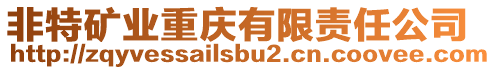 非特礦業(yè)重慶有限責(zé)任公司