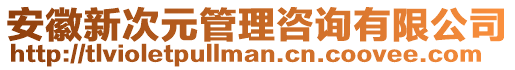 安徽新次元管理咨詢有限公司