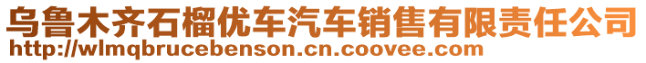 烏魯木齊石榴優(yōu)車(chē)汽車(chē)銷(xiāo)售有限責(zé)任公司