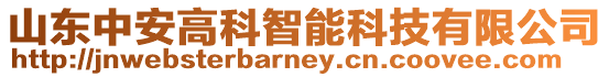 山東中安高科智能科技有限公司