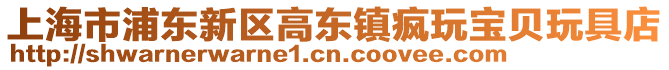 上海市浦東新區(qū)高東鎮(zhèn)瘋玩寶貝玩具店