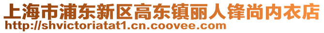 上海市浦東新區(qū)高東鎮(zhèn)麗人鋒尚內(nèi)衣店