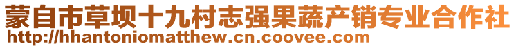 蒙自市草壩十九村志強果蔬產銷專業合作社
