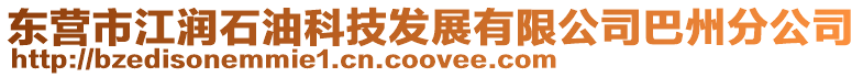 東營市江潤石油科技發展有限公司巴州分公司