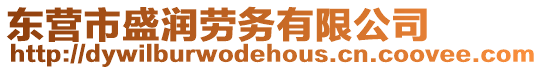 東營市盛潤勞務有限公司