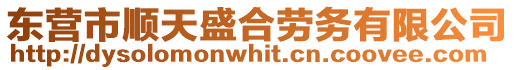 東營市順天盛合勞務有限公司