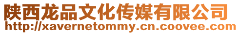 陜西龍品文化傳媒有限公司