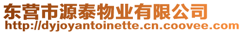 東營市源泰物業有限公司