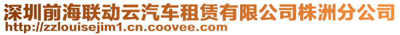 深圳前海聯動云汽車租賃有限公司株洲分公司