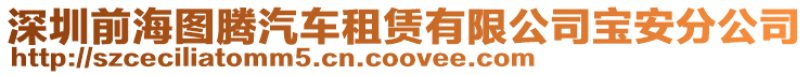 深圳前海圖騰汽車租賃有限公司寶安分公司
