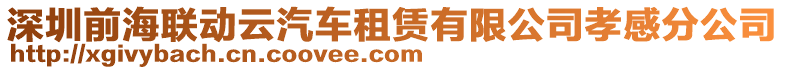 深圳前海聯動云汽車租賃有限公司孝感分公司