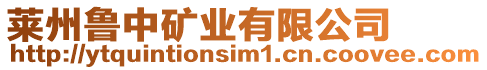 萊州魯中礦業有限公司