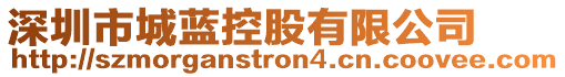 深圳市城藍(lán)控股有限公司