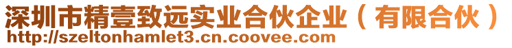 深圳市精壹致遠(yuǎn)實(shí)業(yè)合伙企業(yè)（有限合伙）