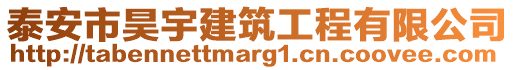 泰安市昊宇建筑工程有限公司