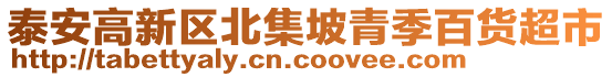 泰安高新區(qū)北集坡青季百貨超市