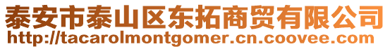 泰安市泰山區(qū)東拓商貿(mào)有限公司