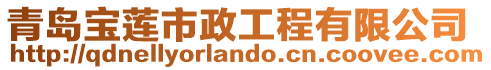 青島寶蓮市政工程有限公司