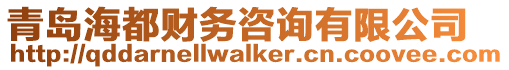 青島海都財務咨詢有限公司