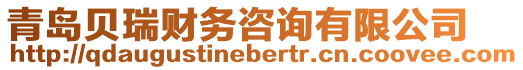 青島貝瑞財務(wù)咨詢有限公司