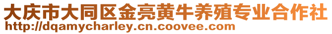 大慶市大同區(qū)金亮黃牛養(yǎng)殖專業(yè)合作社