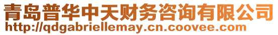 青島普華中天財務咨詢有限公司