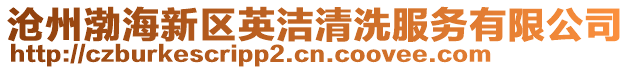 滄州渤海新區英潔清洗服務有限公司